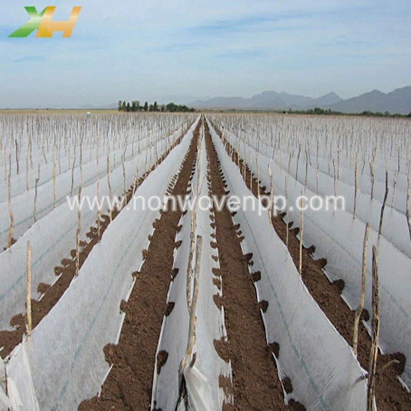 polypropylene nonwoven fabric
